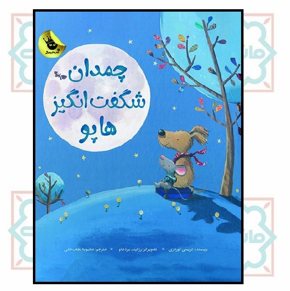 چمدان شگفت انگیز هاپو 