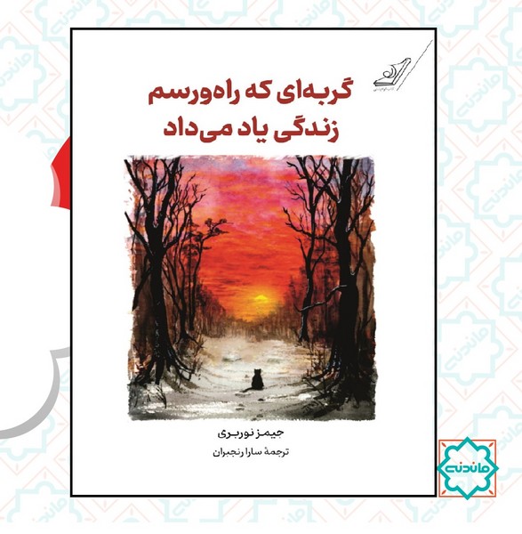 گربه ای که راه و رسم زندگی یاد می داد 