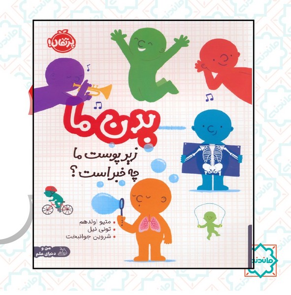 زیر پوست ما چه خبر است؟ / بدن ما 