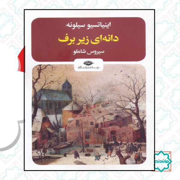 دانه ای زیر برف 
