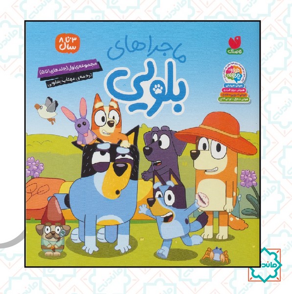 مجموعه ماجراهای بلویی 1 (جلدهای 1تا5) 