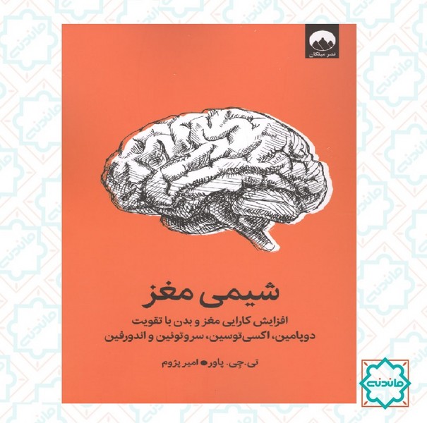 شیمی مغز 