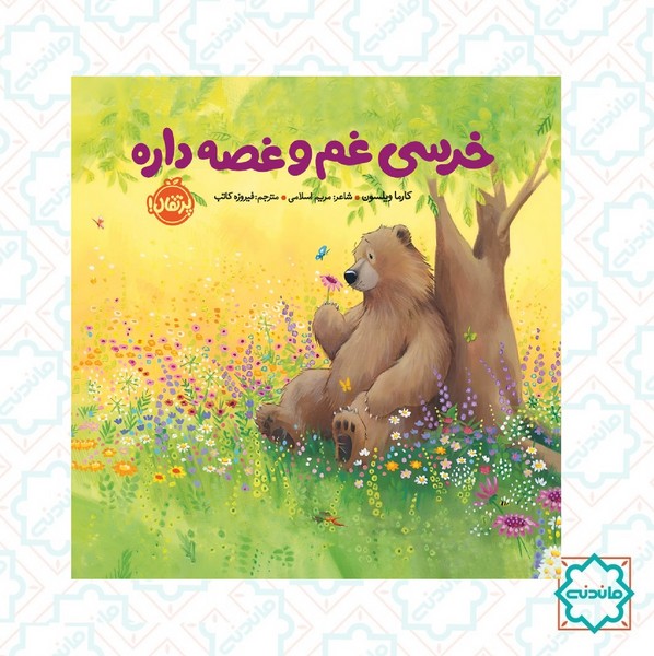 خرسی غم و غصه داره 