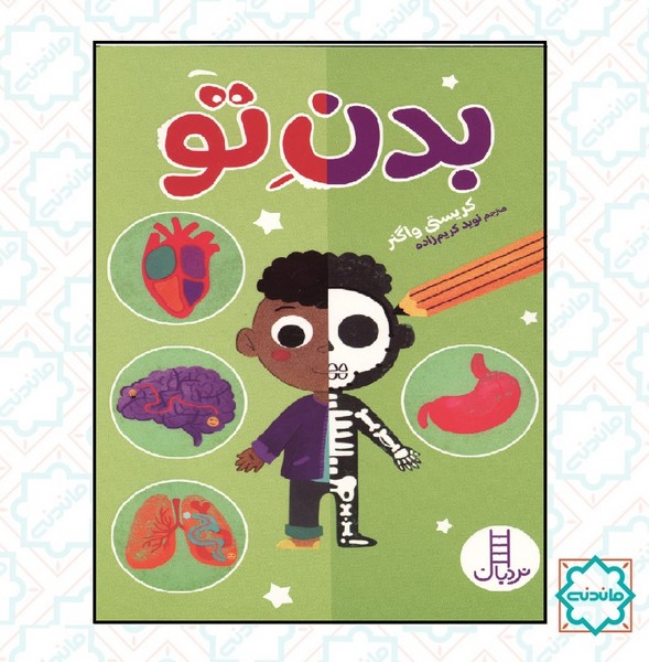بدن من 