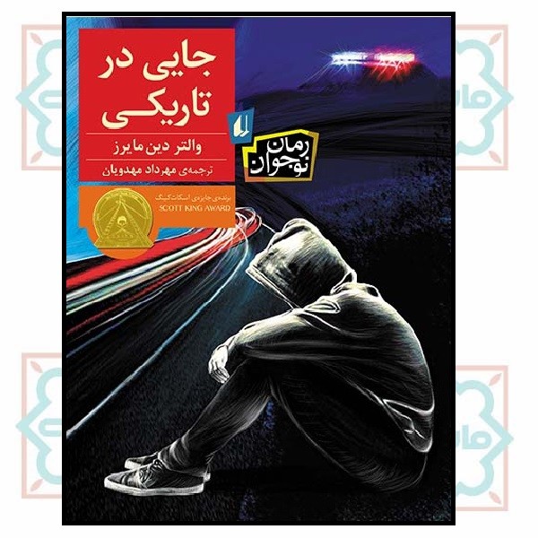 جایی در تاریکی (رمان نوجوان/7)