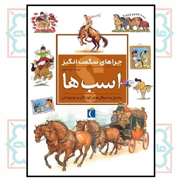 چراهای شگفت انگیز - اسب ها