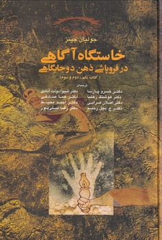 تصویر  خاستگاه آگاهی در فروپاشی ذهن دوجایگاهی