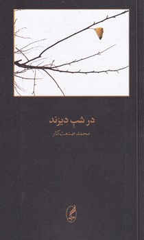 تصویر  در شب دیرند