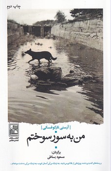 تصویر  من به سور سوختم