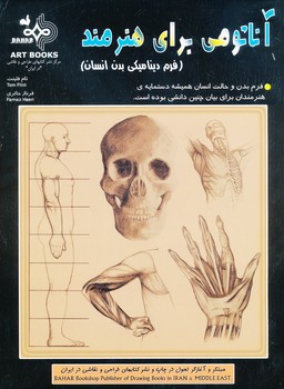 آناتومی برای هنرمند ، فرم دینامیکی بدن انسان