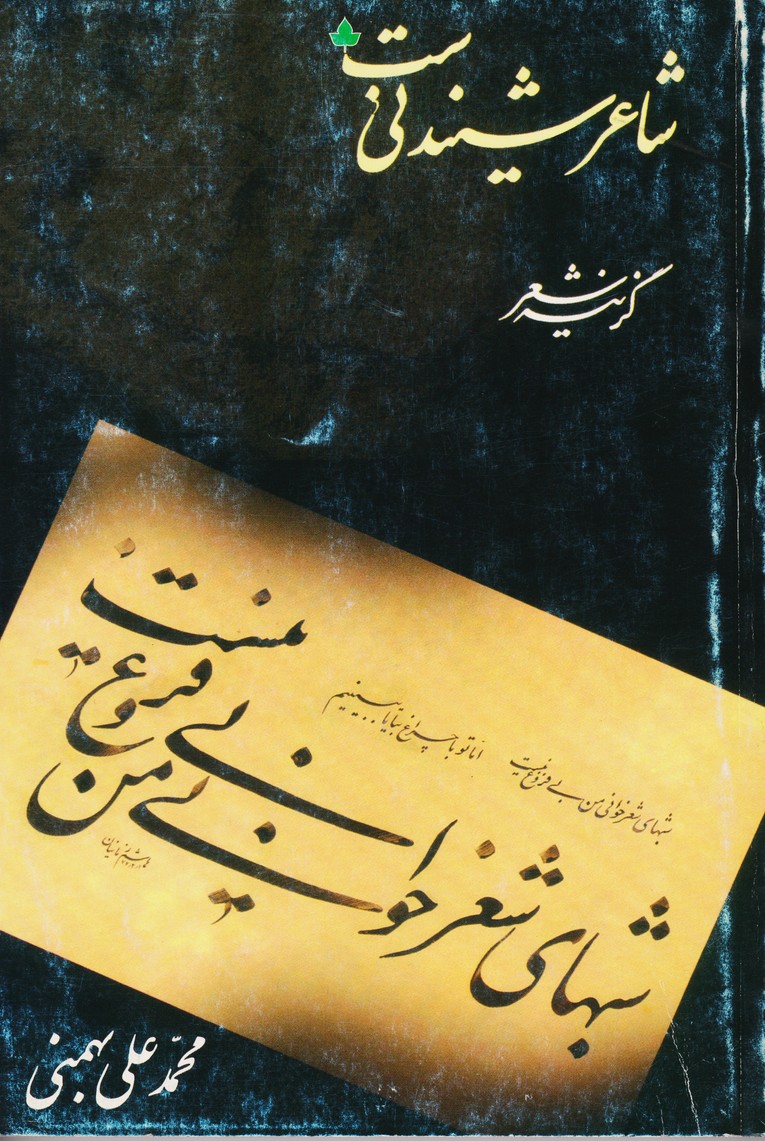 گزینه شعر : شاعر شنیدنی است