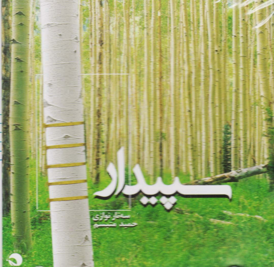سپیدار