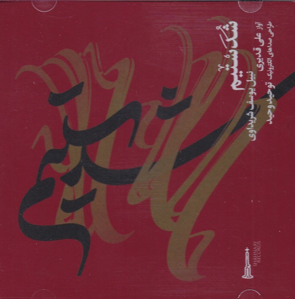 شدستیم
