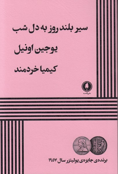 سیر بلند روز به دل شب