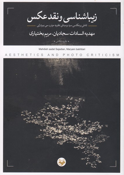 تصویر  زیباشناسی و نقد عکس : تاملی بر عکاسی سرد بر مبنای نظریه مونرو سی بیردزلی