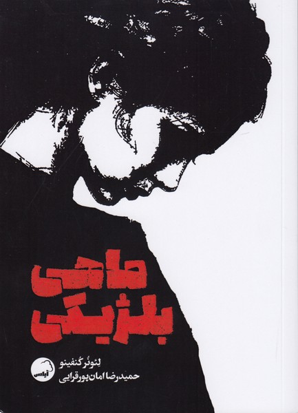 ماهی بلژیکی / اثر آینه ای