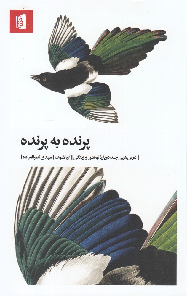 پرنده به پرنده/بیدگل