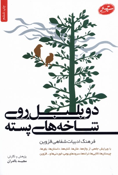 دو بلبل روی شاخه های پسته 