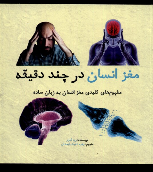 مغز انسان در چند دقیقه/نشرشهر