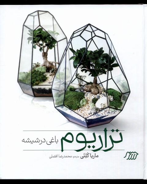 تراریوم(باغی در شیشه)نردبان#