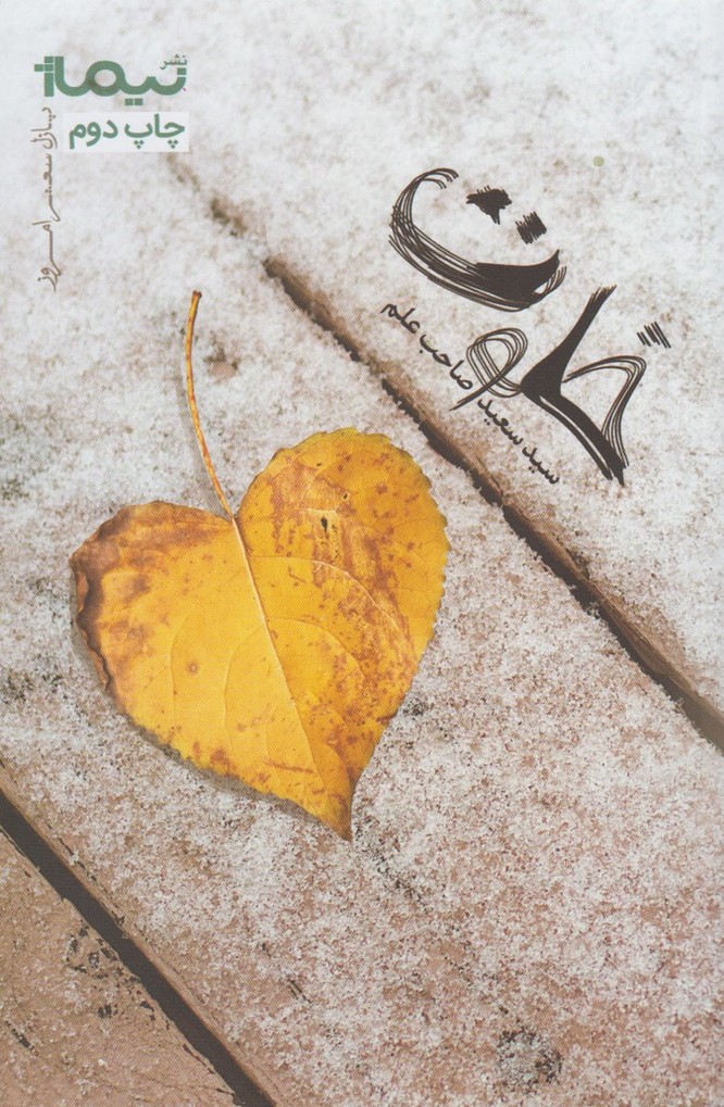 پازل شعر امروز(خلوت)نیماژ