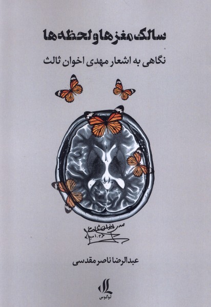 سالک مغزها و لحظه‌ها(لوگوس)