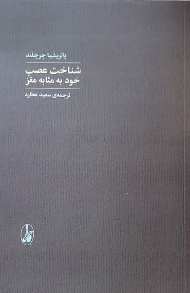 شناخت عصب خود به مثابه مغز