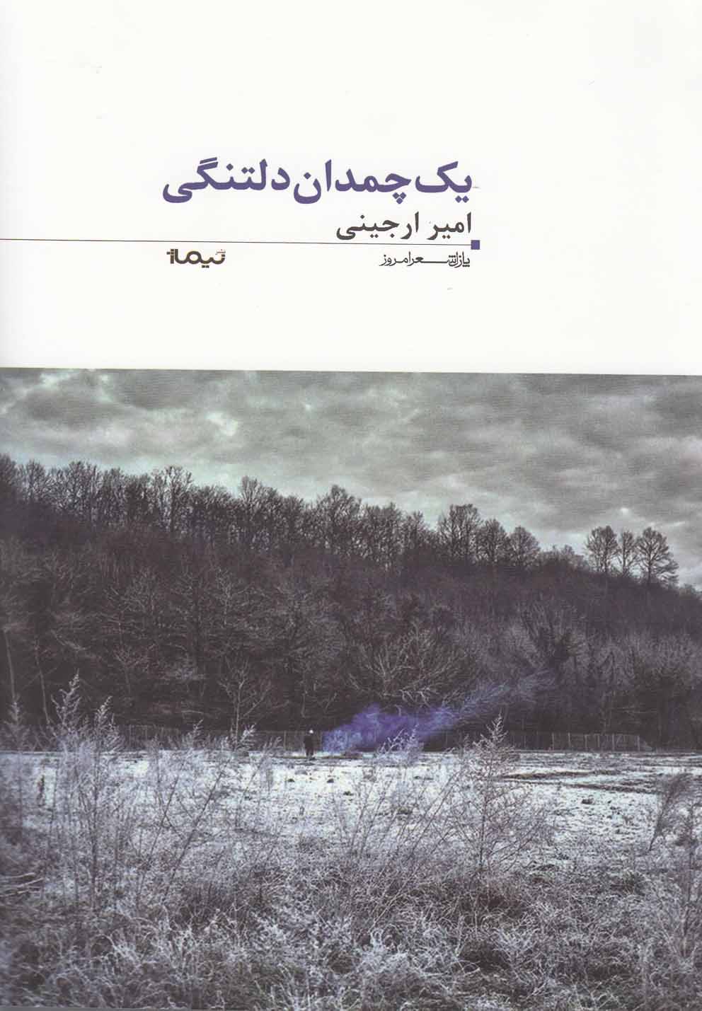 پازل شعر امروز(35)یک‌چمدان‌دلتنگی(نیماژ)