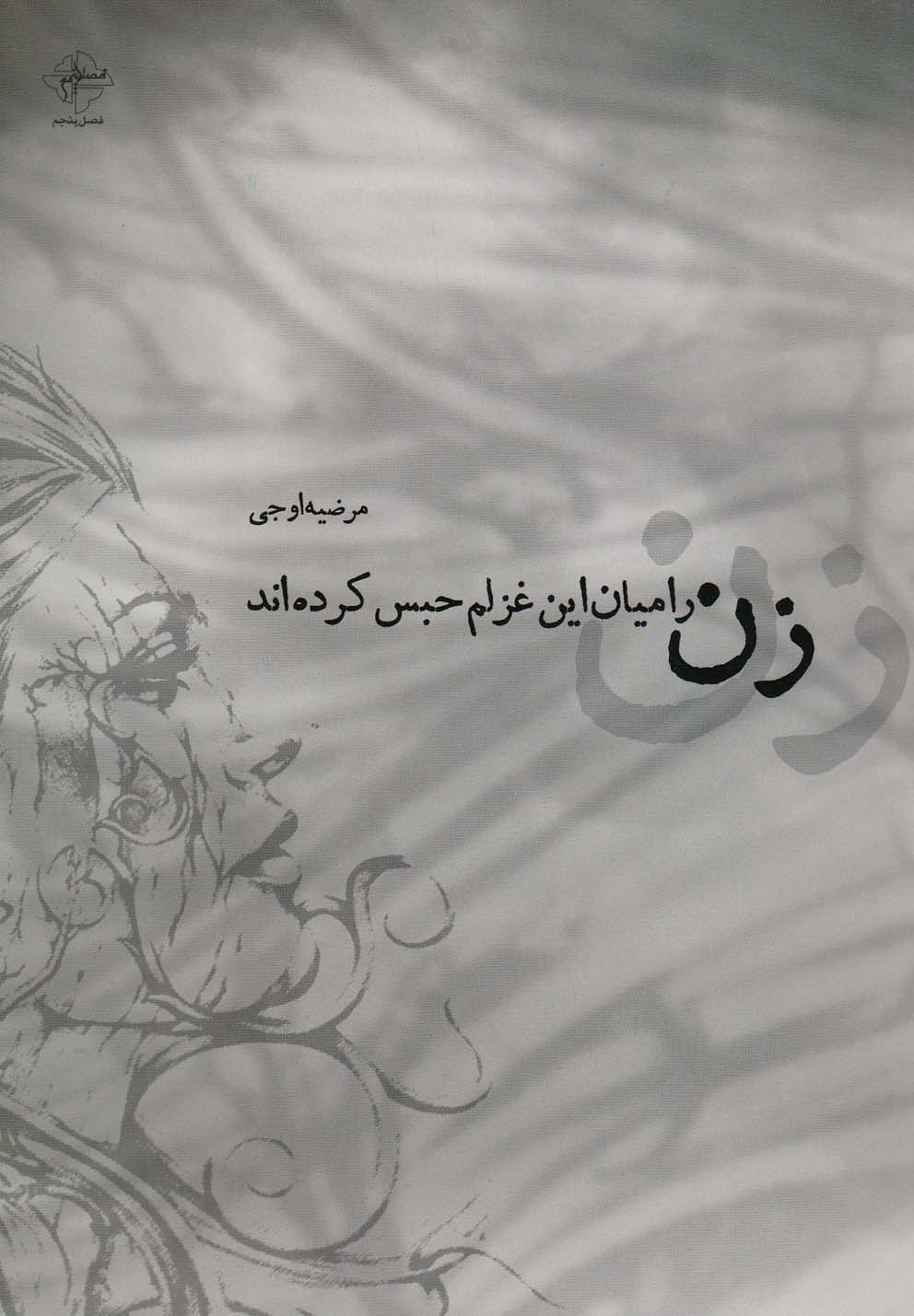 زن را میان این غزلم حبس کرده‌اند(فصل‌پنجم) @